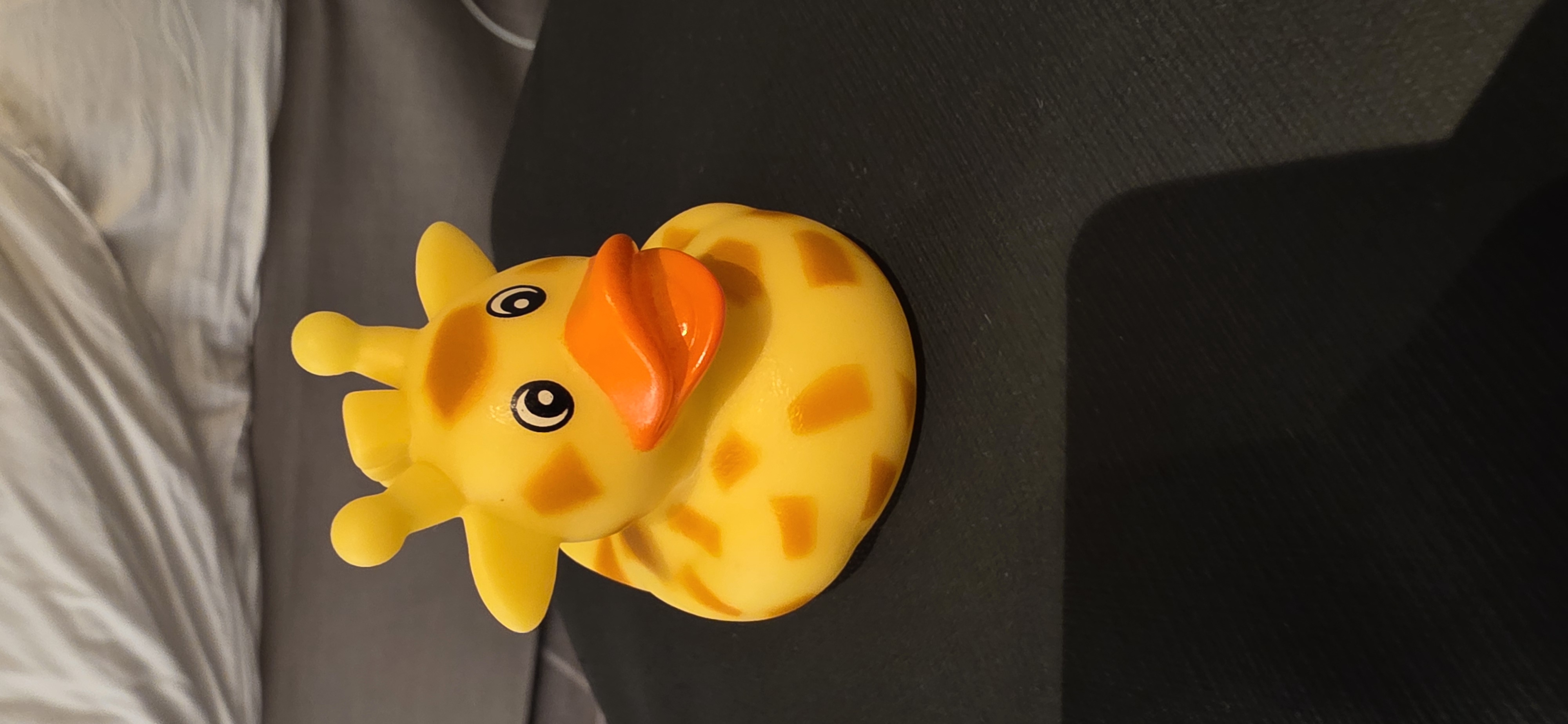 Duck TLE812 adventure