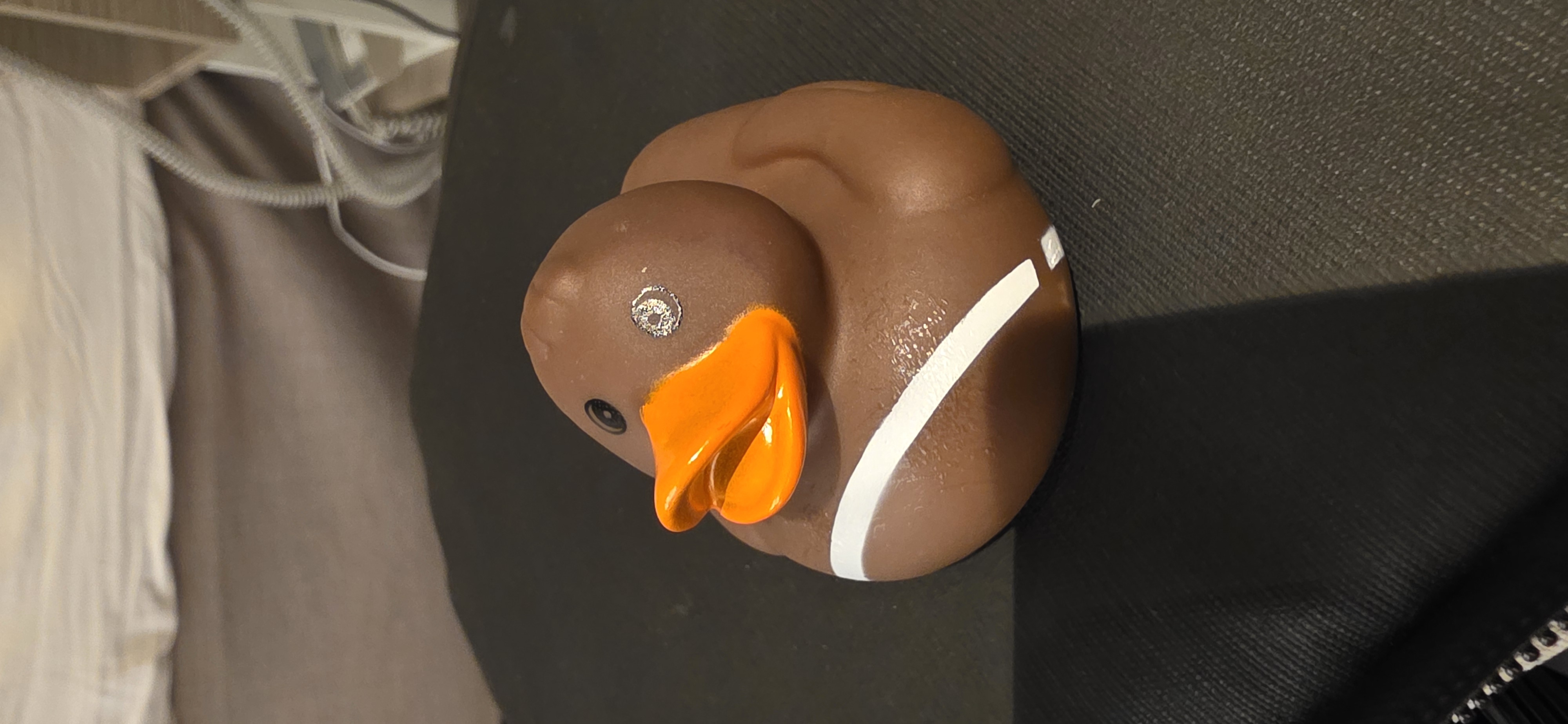 Duck YDO272 adventure